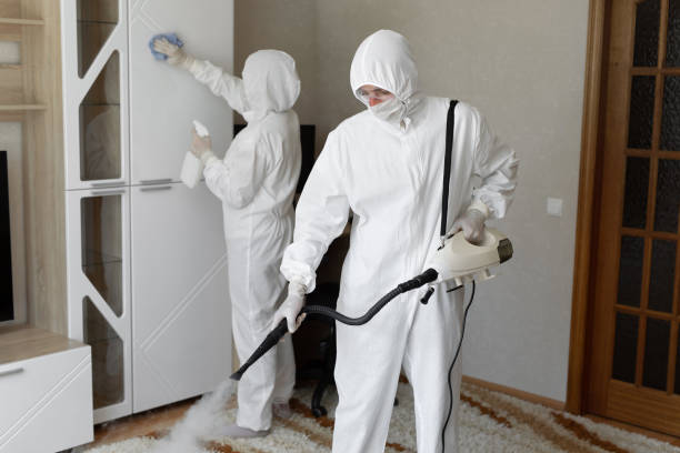 Certified Mold Removal